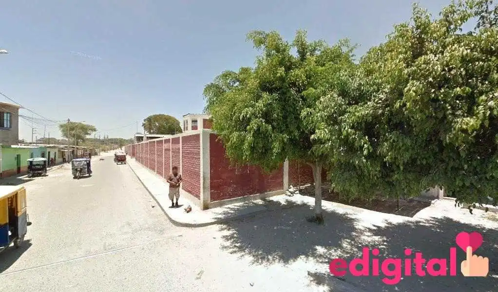 Camal Bellavista - Sullana 20101 Camal Bellavista - Sullana 20101