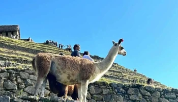 Agencia Cuzco Travels - Cusco 08000