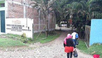 Agencia de desarrollo económico local Adel Mariscal Cáceres - Juanjuí 22601