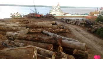 Agencia Fluvial Y Transportes Neyser E.i.r.l - Pucallpa 25001