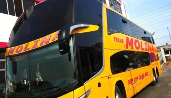 Agencia Molina - Lima 15021