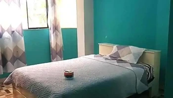 Alquiler de Mini departamentos y cuartos - Ambo 10420