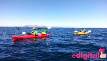 Arcobaleno Viajes y turismo - Puno 21001