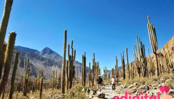 Asoturs - Turismo Sostenible Rural en el Cañon del Cotahuasi - Perú