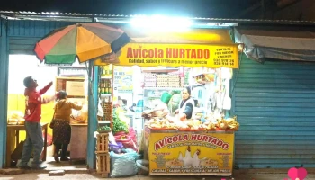 Avicola hurtado - Anta 08616