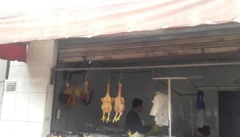 Avicola Tifi - Av. Angélica Gamarra 22