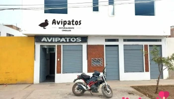Avipatos (Patos Criollos) - Santa María 15137
