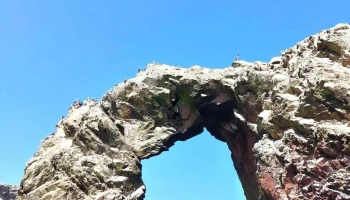 Ballestas Tours Pisco - Paracas 11550