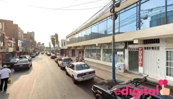 Botica Los Pinos - Independencia