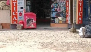 Botica Paraiso - Lurigancho-Chosica