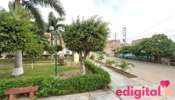 Botica Similares - Lambayeque