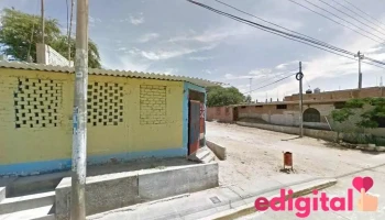 Botica Starbien - Vice