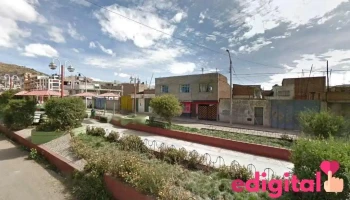 Botica Y Perfumeria M Y F - Puno 21002