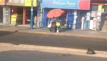 Boticas Perú - Independencia
