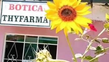Botiquín Thyfarna - Paita
