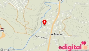 Camal del Grupo Selva - Tarapoto 22200