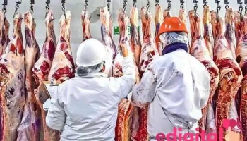Carnes Avicacer - Huancayo 12001