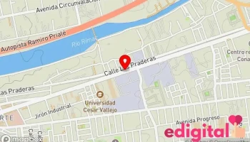 Carnicería El Misti - Ate 15498