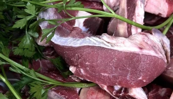 Carnicería El Toro Arequipeño - Acari