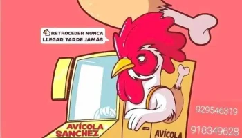 Carniceria Sánchez - 22850