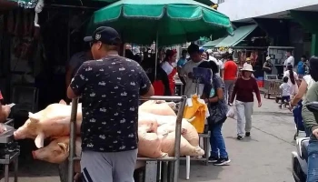 Carnicería y Congelados melendez e hijos - Lima 15019