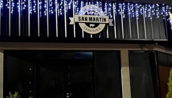 Carnicería Y Verduleria San Martin - Howell Jones 591