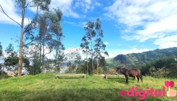 Caserío Huichud - Chibulgan