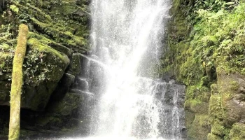 Catarata La Bruja - Villa Rica 19300