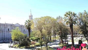 Colores Arequipa Sac - Arequipa 04001