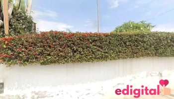 Confecciones Lcd - José Luis Bustamante Y Rivero 04009 Confecciones Lcd - José Luis Bustamante Y Rivero 04009