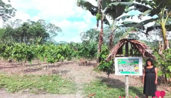 Cooperativa Agraria Industrial Atalaya Ltda - Jirón Teniente Mejía