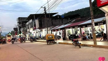 Corporacion Arauco S.r.l - Satipo 12261