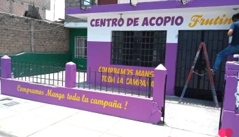 Creativos, viniles, polarizados, gigantografías - Casma 02661