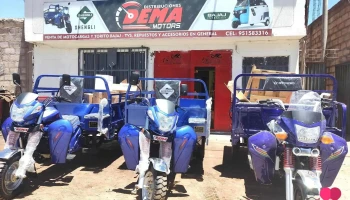 Distribuciones Dema Motors - Desaguadero 21611