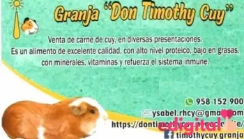 Don Timothy Cuy - Cerro Colorado 04013