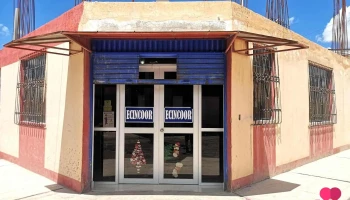 Ecincoor - Y