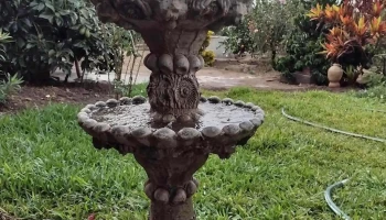 El Azahar de mi Campo.Huando - Huaral 15201