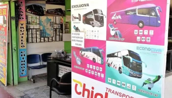 Empresa De Transportes - Auxiliar Panamericana Nte