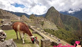 Euro Perú Travel - San Borja 15037