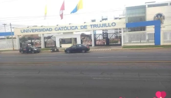 Farma Chincha - Moche