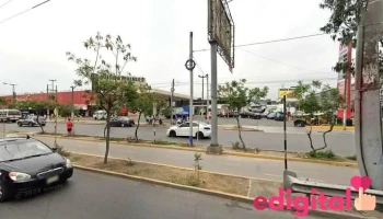Fershi Polladas - Lote 12