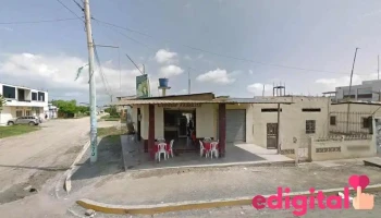 Frigo Market Promah - Y