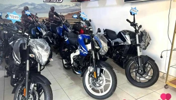 Gallo Motor - 29784