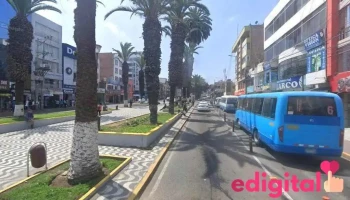 Gaviota Tours - Tacna 23001
