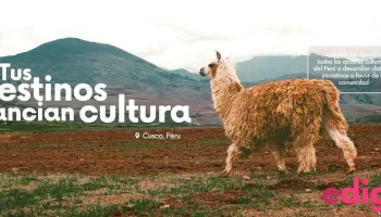 Guíame Sur Agencia de Viajes - Arequipa 04000