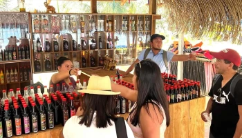 iperuano.com - Huacachina F-02