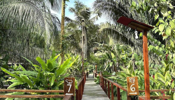 JunglePro. - Puerto Maldonado 17001