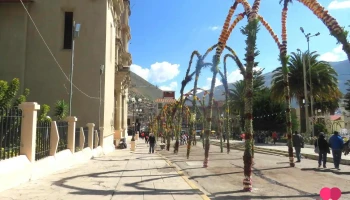 Junin Tarma - Tarma 12651