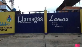 Llamagas Lamas - Calidad garantizada - Lamas 22151
