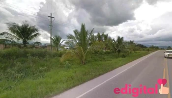 Llamagas Pucallpa Sa - Rioja 22825